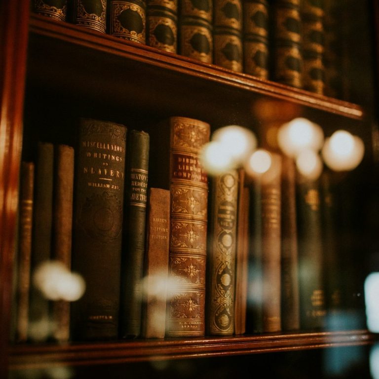 Expertise Across Legal Fields